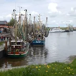 Kornew