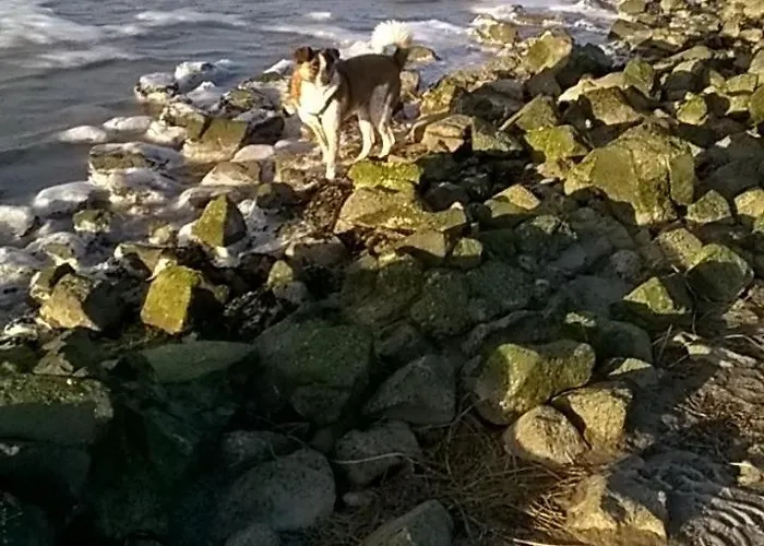 Kornew Lejlighed Dornum